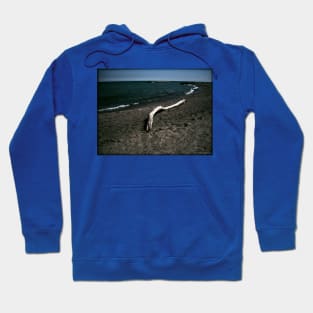 Driftwood Hoodie